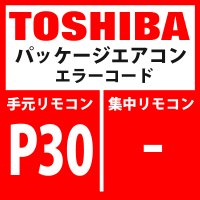 東芝　パッケージエアコン　エラーコード：P30　「グループ制御子機異常／集中管理アドレス重複」　【TCC-LINK】